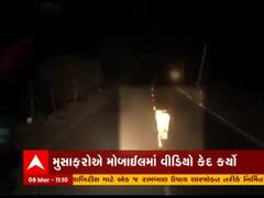 અમરેલી-બગસરા હાઇવે પર સિંહની લટાર કેમેરામાં થઇ કેદ, જુઓ વીડિયો