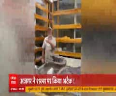 देख रेख करने वाले पर 'अजगर अटैक' | Viral News | Top News