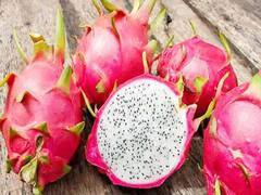 સ્ટેચ્યુ ઓફ યુનિટી ખાતે 'કમલમ' ફ્રૂટના રોપાની નર્સરી બનાવાશે, જુઓ વીડિયો