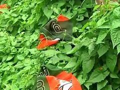 चौथे दौर की वोटिंग से पहले बंगाल में हिंसा, BJP कार्यकर्ताओं के घर पर हमला | WB Election 2021