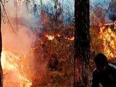 Uttarakhand Fire : उत्तराखंड में 1500 हेक्टेयर जंगल जले, धुंआ बन रहा है नई चुनौती