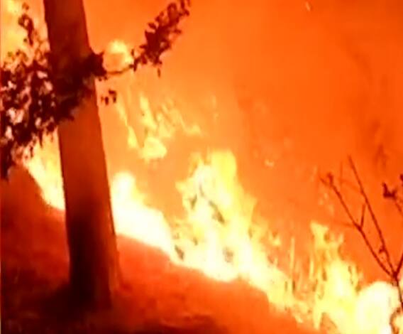 Uttarakhand के जंगल धधक रहे हैं, हाईकोर्ट के सवाल का है क्या जवाब ? | Uttarakhand Prime