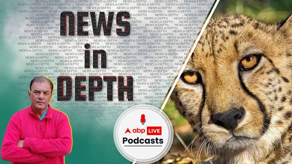 News In-Depth | क्यों चाहते हैं PM मोदी भारत की सरज़मीं पर चीता की वापसी?
