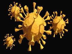 Himachal Pradesh: चंबा के डलहौजी पब्लिक स्कूल के 99 छात्र कोरोना से संक्रमित