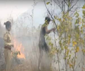 Baat To Chubhegi :क्यों धधक उठे उत्तराखंड के जंगल? Rohit Saval | ABP Ganga 