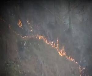 Uttarakhand: आग की चपेट में 13 में से 11 जिले, समय पर नहीं बुझी तो... | Forest Burning 