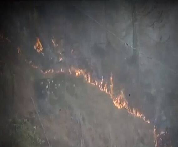 Uttarakhand: आग की चपेट में 13 में से 11 जिले, समय पर नहीं बुझी तो... | Forest Burning 