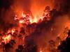 Uttarakhand : धधक रहे हैं उत्तराखंड के जंगल, गढ़वाल से लेकर कुमाऊं तक आग