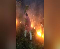 जंगल में दिखी भयंकर आग तो हाथ में झाड़ी लेकर खुद बुझाने लगे पर्यावरण मंत्री Harak Singh Rawat
