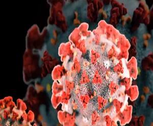 Roorkee IIT में 89 छात्र हुए कोरोना संक्रमित, बाहरी छात्रों की एंट्री हुई बैन 