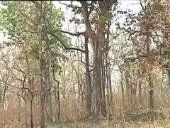 Bijapur Naxal Encounter: अब भी एक जवान लापता, देखिए हमले वाली जगह से ग्राउंड रिपोर्ट