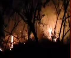 Uttarakhand Forest Fire: सुलग रहे हैं देवभूमि के जंगल! पौड़ी-नैनीताल के जंगलों का हुआ ये हाल 