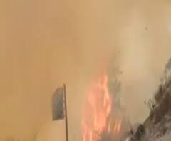 देवभूमि Uttarakhand में धधक रहे हैं जंगल, आखिर कब बुझेगी आग? | Uttarakhand Prime | ABP Ganga 