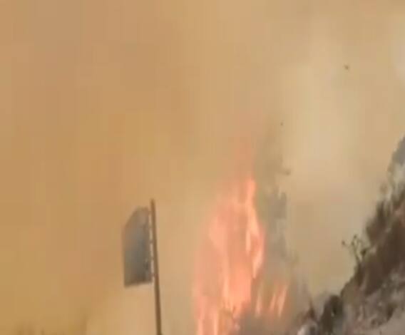 देवभूमि Uttarakhand में धधक रहे हैं जंगल, आखिर कब बुझेगी आग? | Uttarakhand Prime | ABP Ganga 