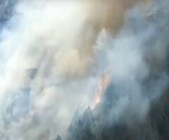 Masoori: कैम्पटी के जंगलों में भीषण आग, पलायन को मजबूर हुए लोग | Badi Khabar 