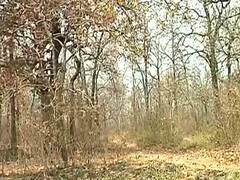Chattisgarh : लापता जवानों की तलाश एक बार फिर तेज, नक्सली इलाके में 600 जवानों की बटालियन रवाना