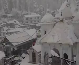 भीषण गर्मी के बीच Joshimath से आईं इन तस्वीरों को देखकर मजा आ जाएगा ! | Uttarakhand Prime