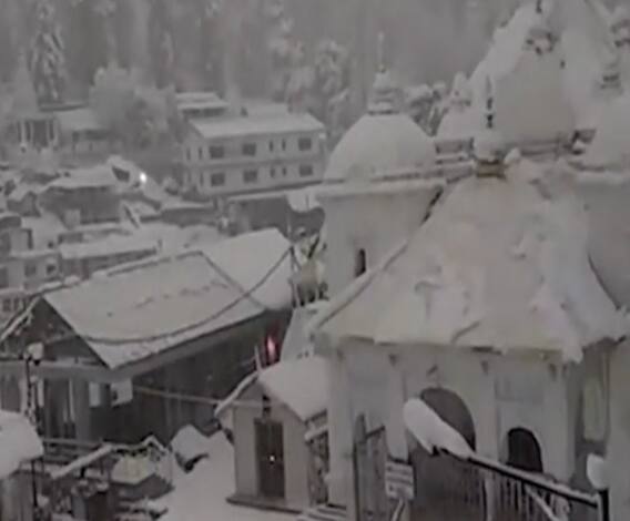 भीषण गर्मी के बीच Joshimath से आईं इन तस्वीरों को देखकर मजा आ जाएगा ! | Uttarakhand Prime