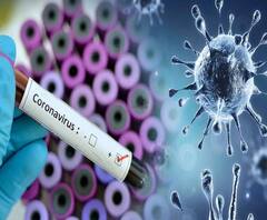 WB Corona Cases: উদ্বেগ আরও বাড়িয়ে রাজ্যে ৪ হাজার ছাড়াল দৈনিক করোনা সংক্রমণ