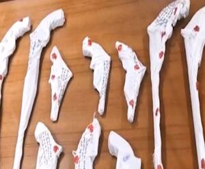 Panchayat Chunav में सक्रिय हुआ खलल डालने वाला गैंग | High Alert 